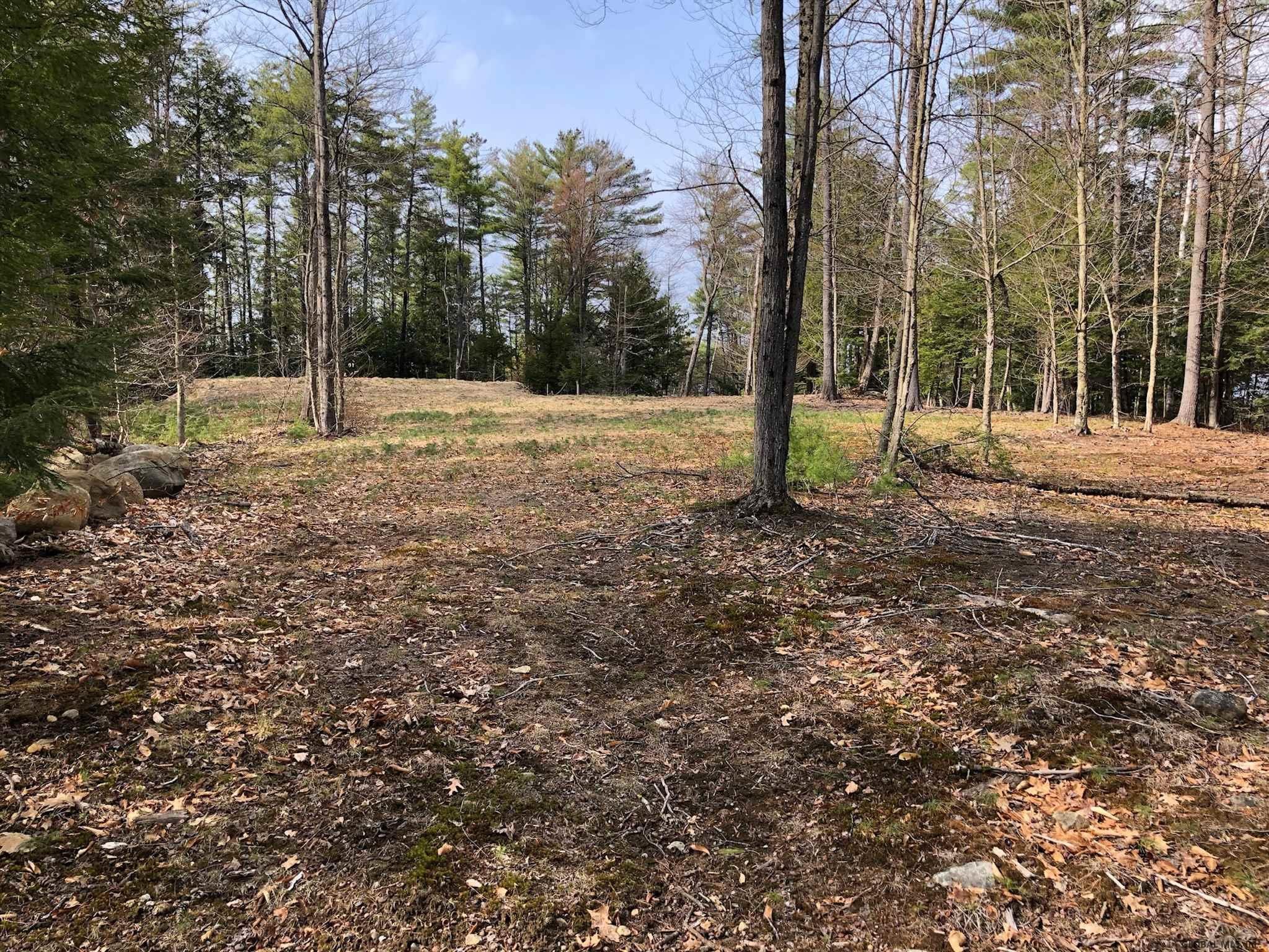 0 Hunt Lake Road North Corinth, NY 12822 - Photo 8 of 8 Photo 8
