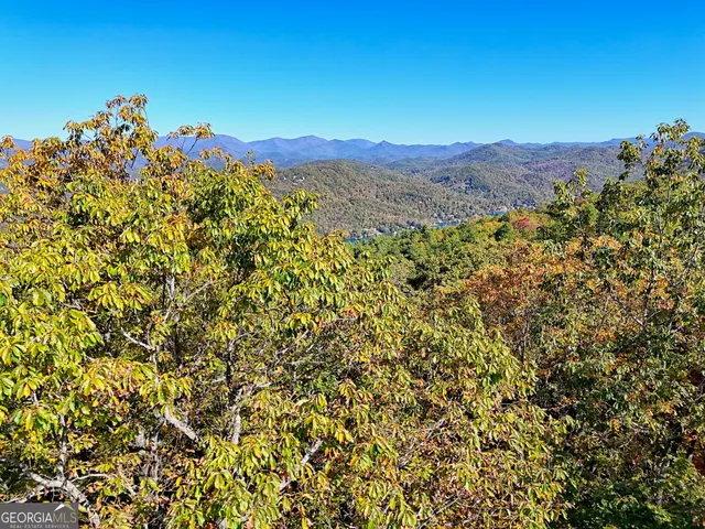 a view of a mountain in the distance