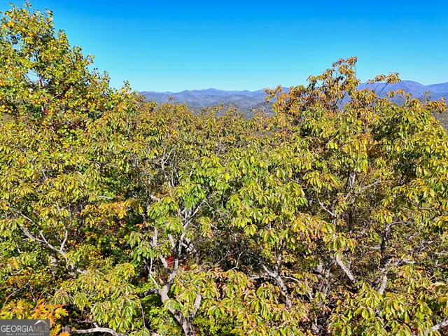 a view of a mountain with a street