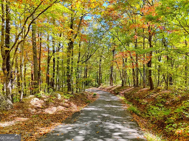 a backyard of a house with a yard