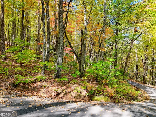 $179,000 | 0 Charmont Drive, Unit LOT 4, Tiger, GA 30576