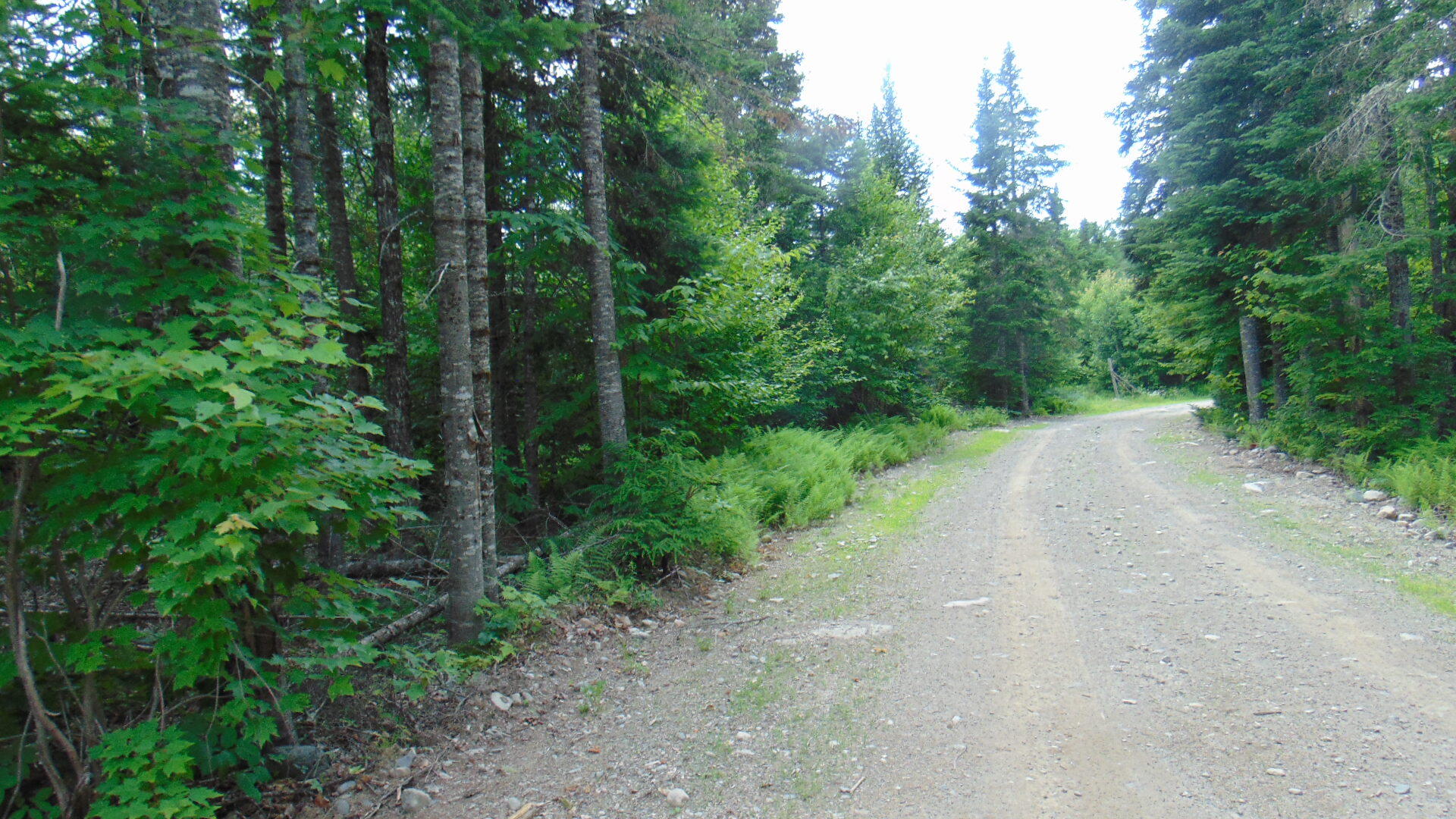 Lot 4 Weatherbee Pt Road Lincoln, ME 04457 - Photo 7 of 9 DSC04000