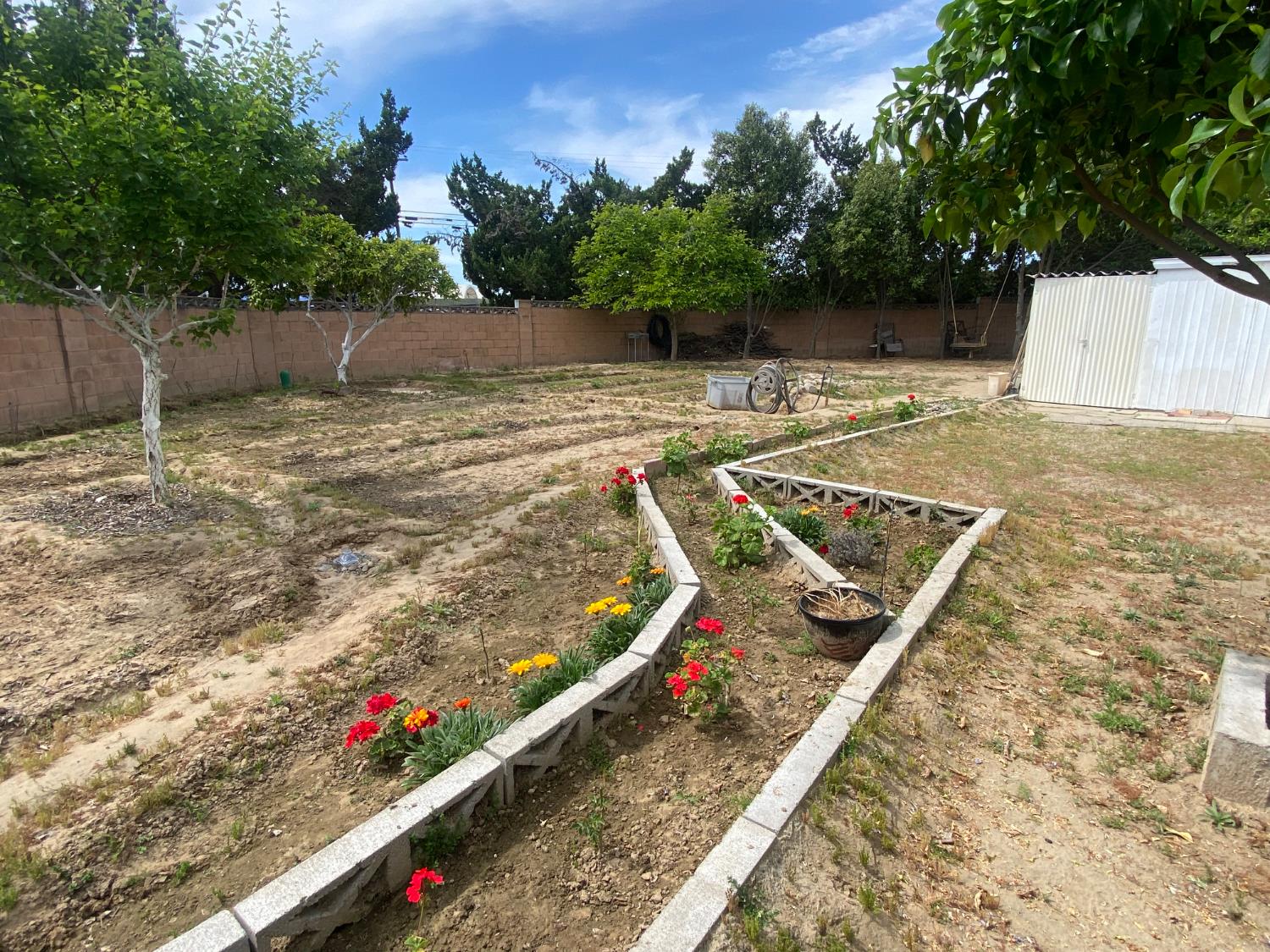 1300 West Olson Avenue, Unit 126 Reedley, CA 93654 - Photo 26 of 29