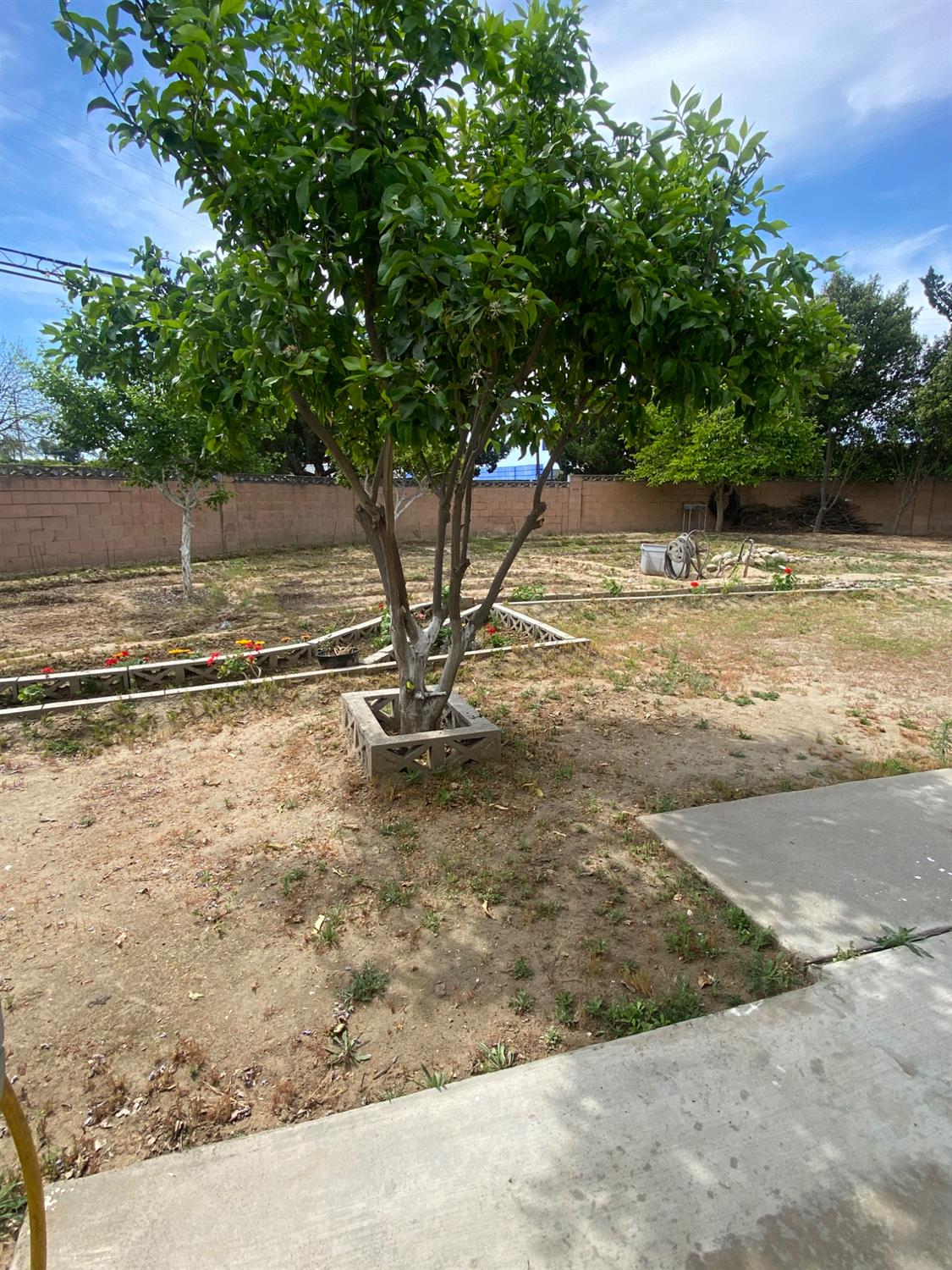 1300 West Olson Avenue, Unit 126 Reedley, CA 93654 - Photo 27 of 29