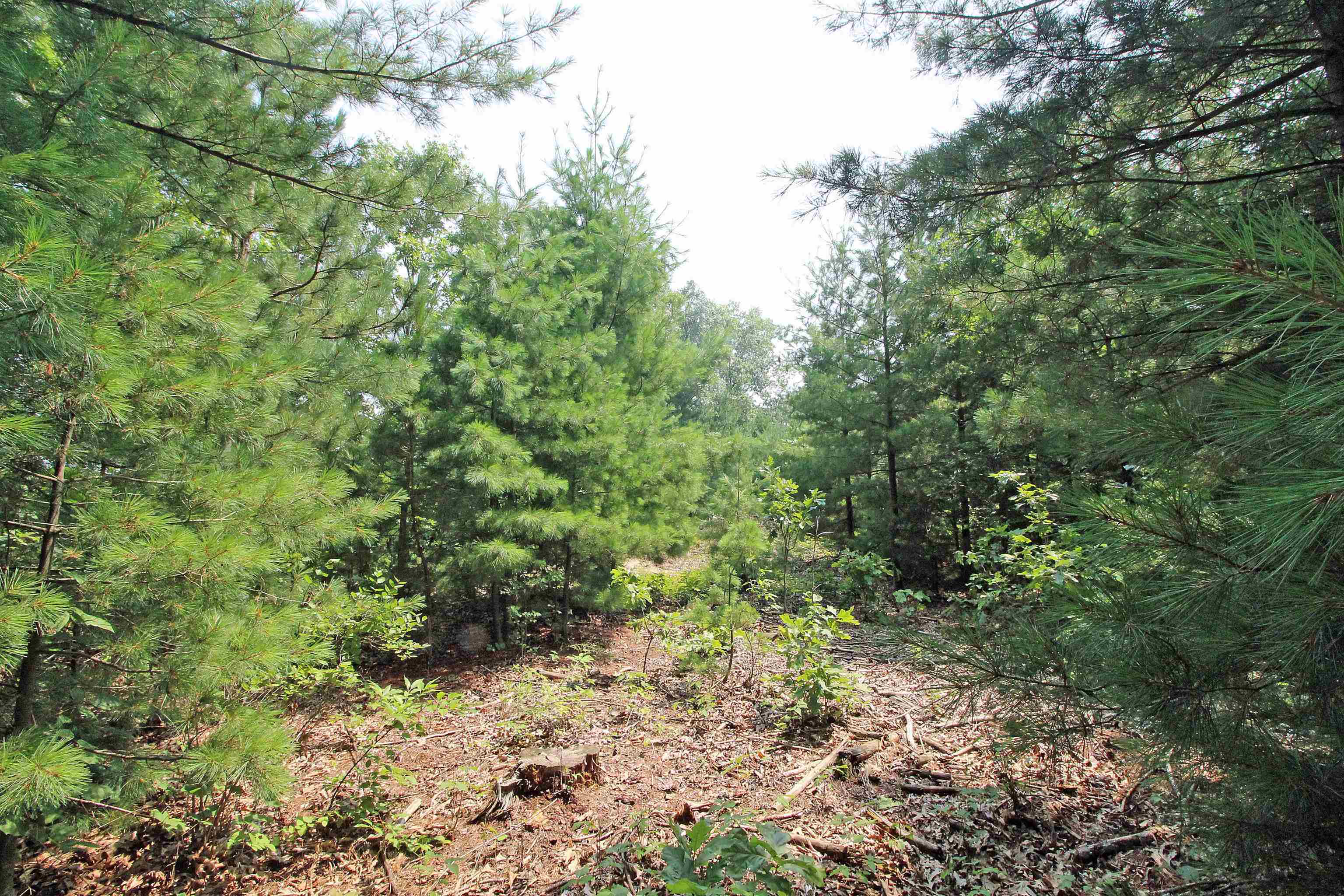 Lot19 Lot19 Timber Spring Green Spring Green, WI 53588 - Photo 12 of 22