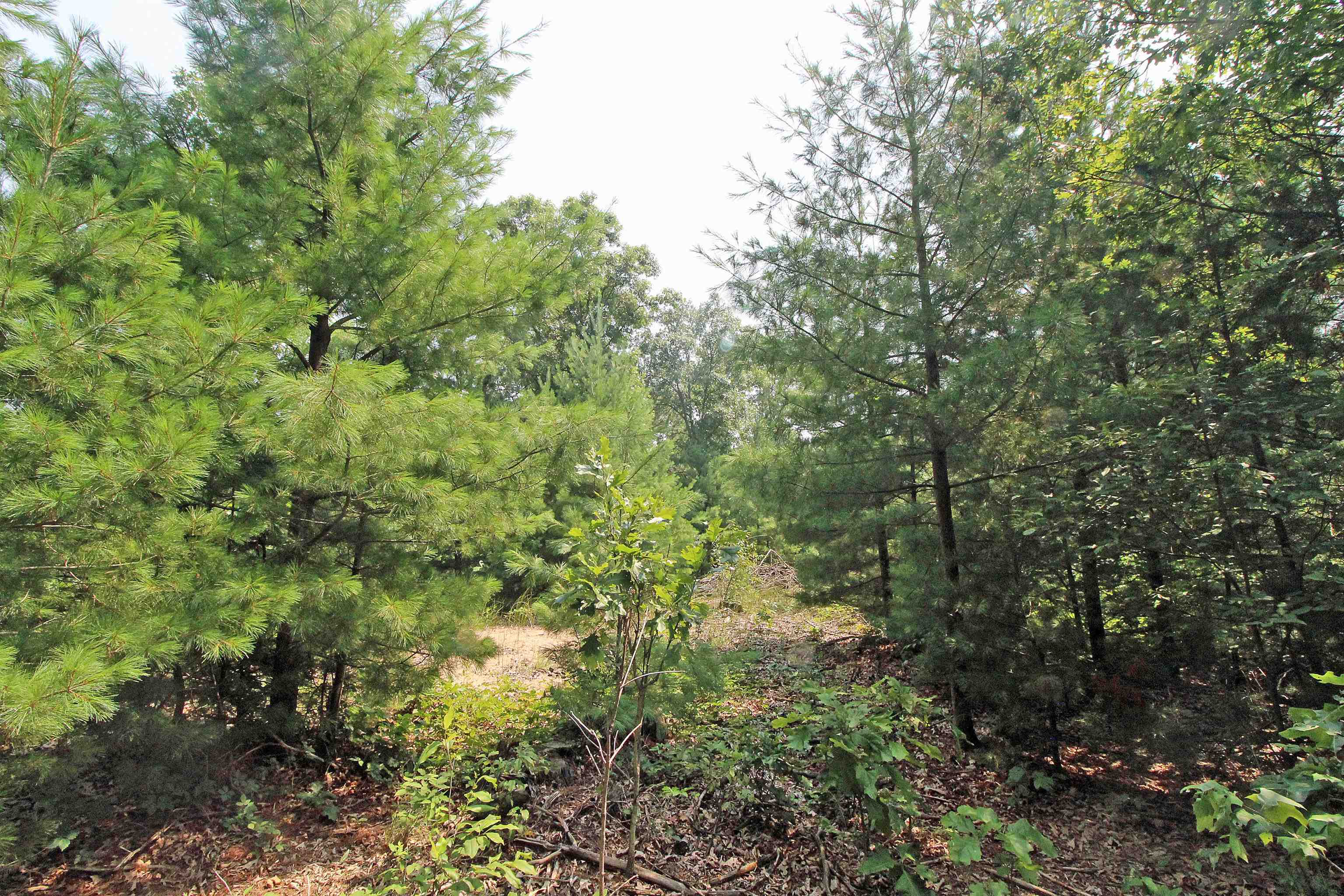 Lot19 Lot19 Timber Spring Green Spring Green, WI 53588 - Photo 13 of 22