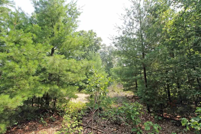$179,900 | Lot19 Lot19 Timber Spring Green, Spring Green, WI 53588