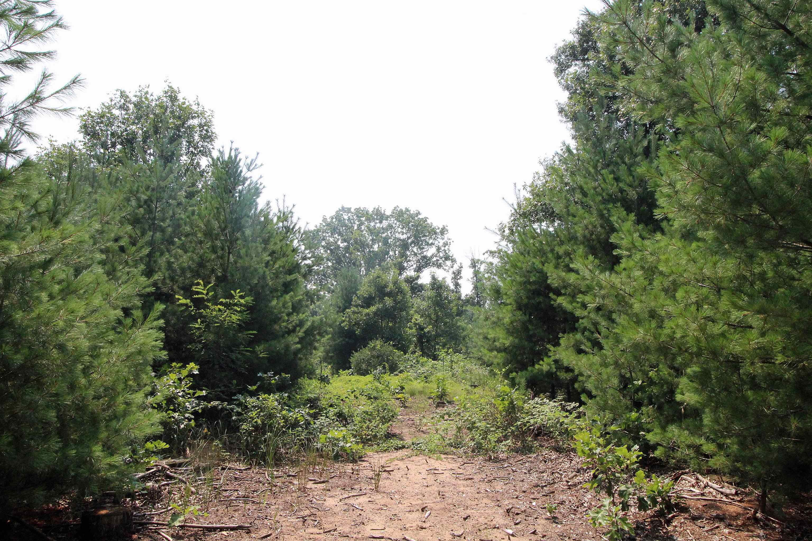 Lot19 Lot19 Timber Spring Green Spring Green, WI 53588 - Photo 16 of 22