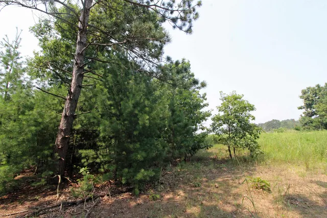 $179,900 | Lot19 Lot19 Timber Spring Green, Spring Green, WI 53588