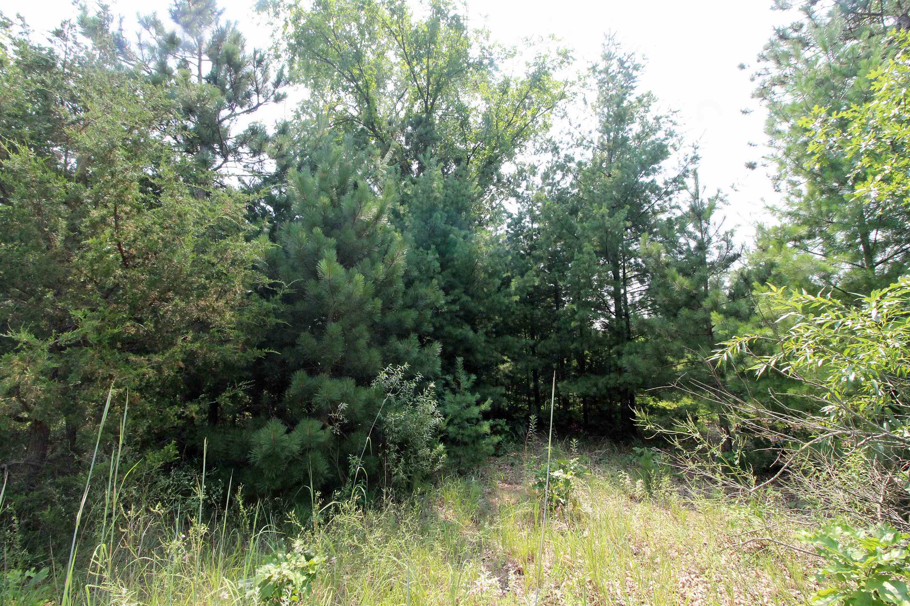 Lot19 Lot19 Timber Spring Green Spring Green, WI 53588 - Photo 18 of 22