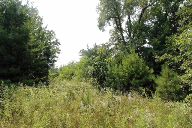 $179,900 | Lot19 Lot19 Timber Spring Green, Spring Green, WI 53588