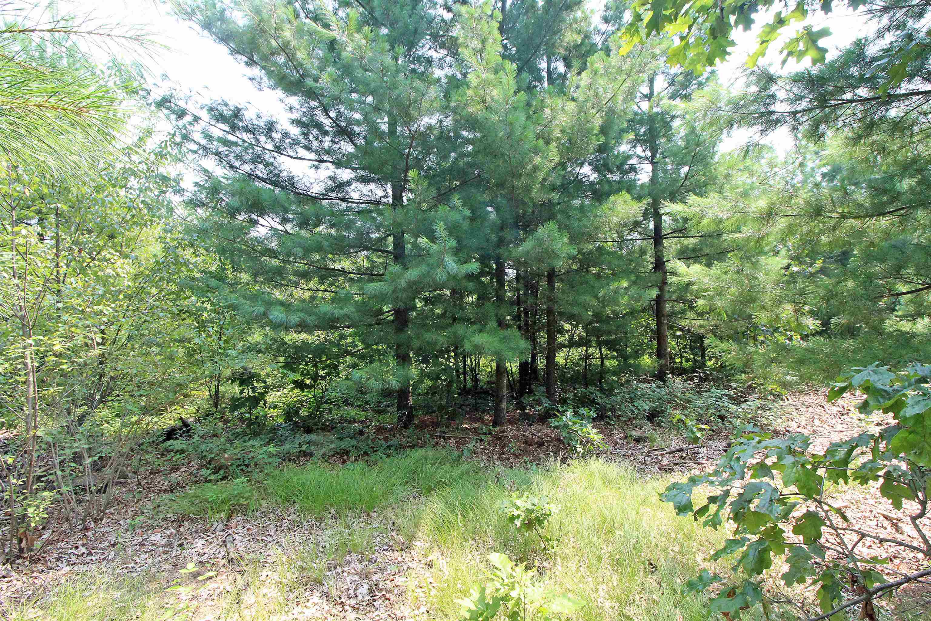 Lot19 Lot19 Timber Spring Green Spring Green, WI 53588 - Photo 20 of 22