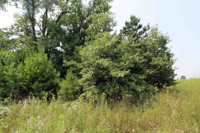 $179,900 | Lot19 Lot19 Timber Spring Green, Spring Green, WI 53588