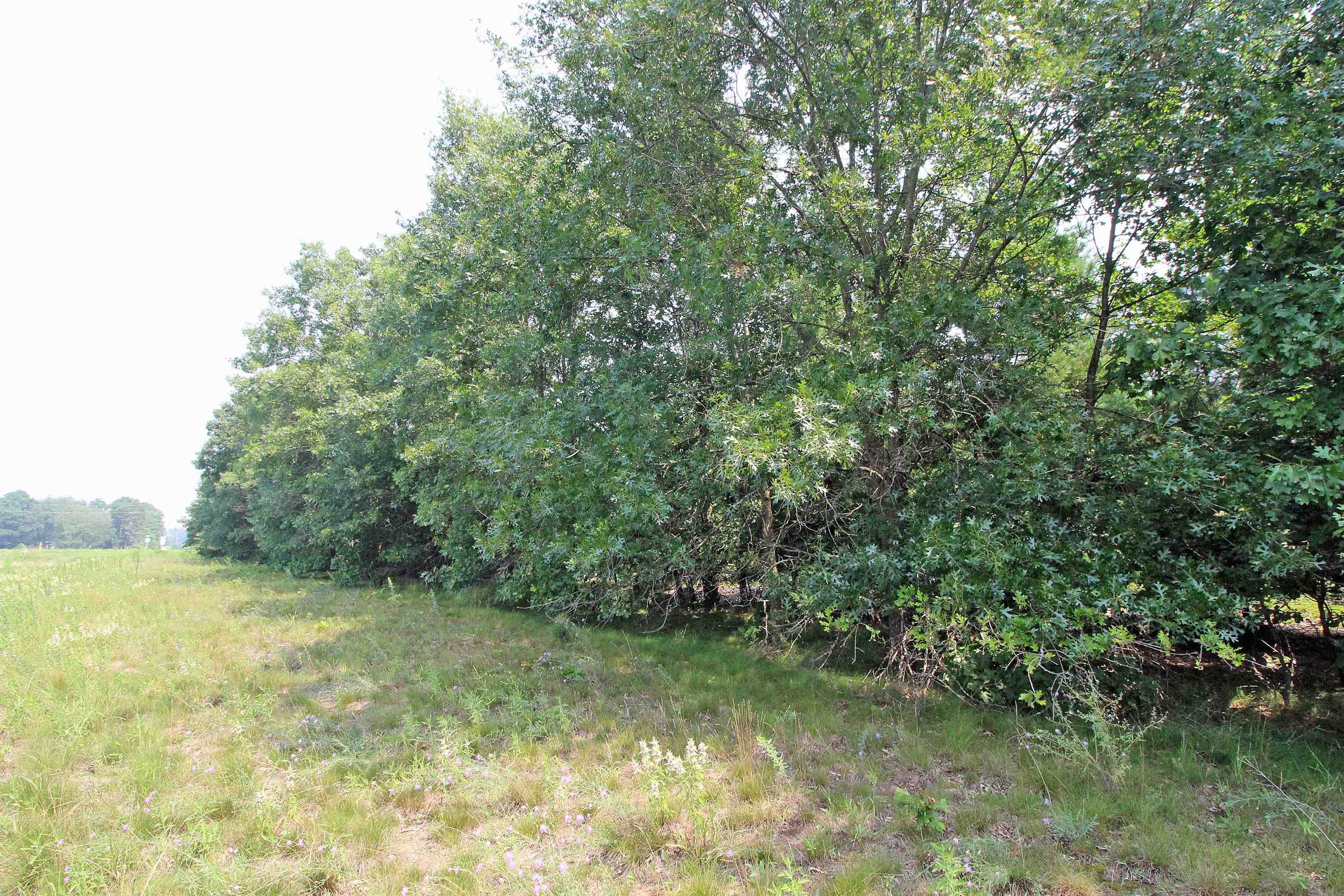 Lot19 Lot19 Timber Spring Green Spring Green, WI 53588 - Photo 22 of 22