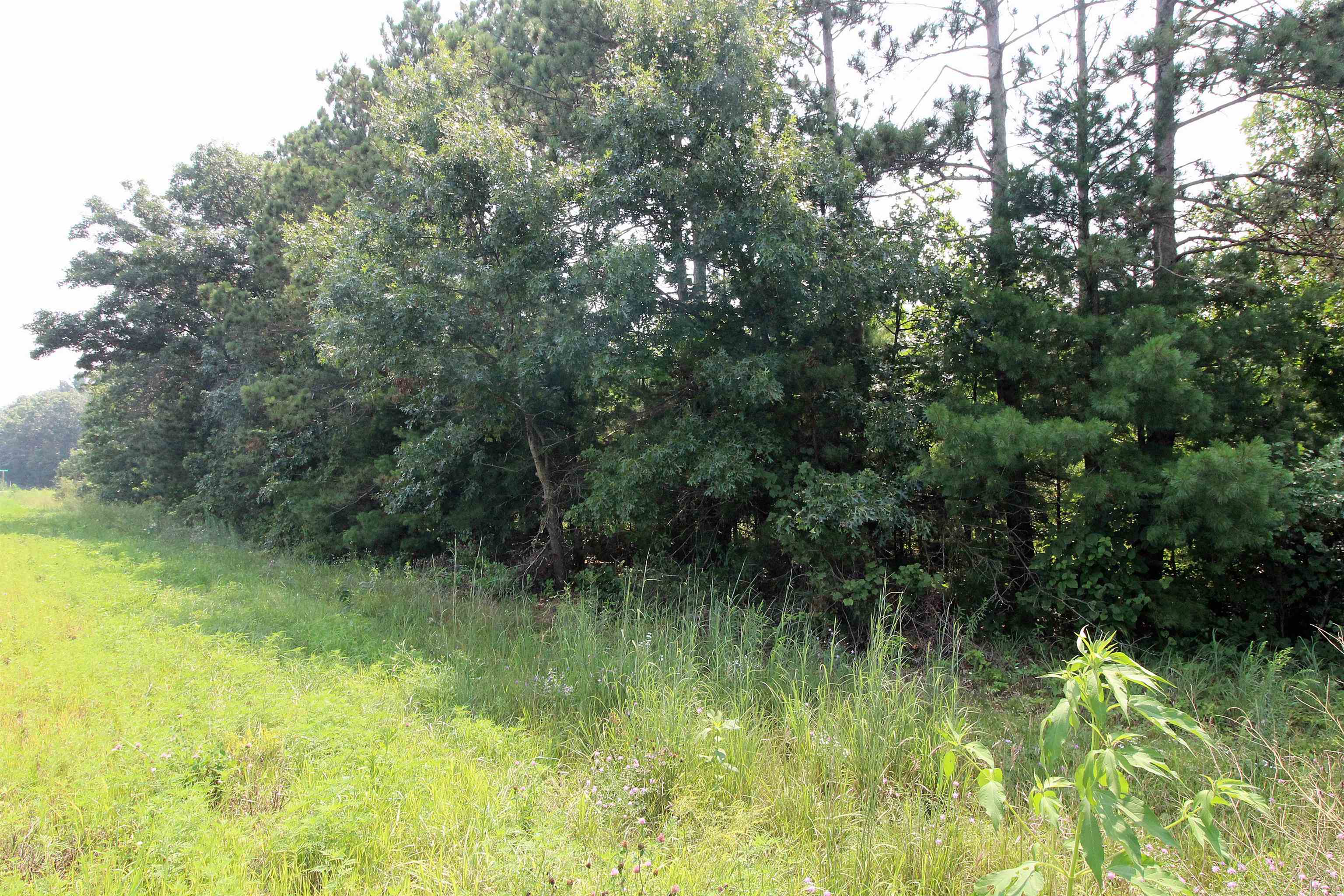 Lot19 Lot19 Timber Spring Green Spring Green, WI 53588 - Photo 5 of 22