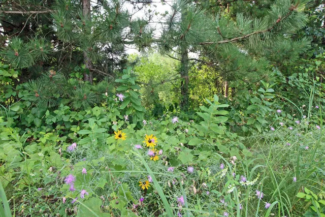 $179,900 | Lot19 Lot19 Timber Spring Green, Spring Green, WI 53588