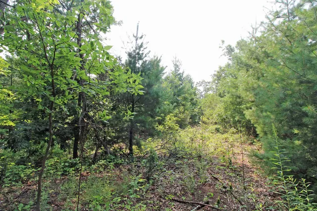 $179,900 | Lot19 Lot19 Timber Spring Green, Spring Green, WI 53588