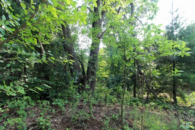 $179,900 | Lot19 Lot19 Timber Spring Green, Spring Green, WI 53588