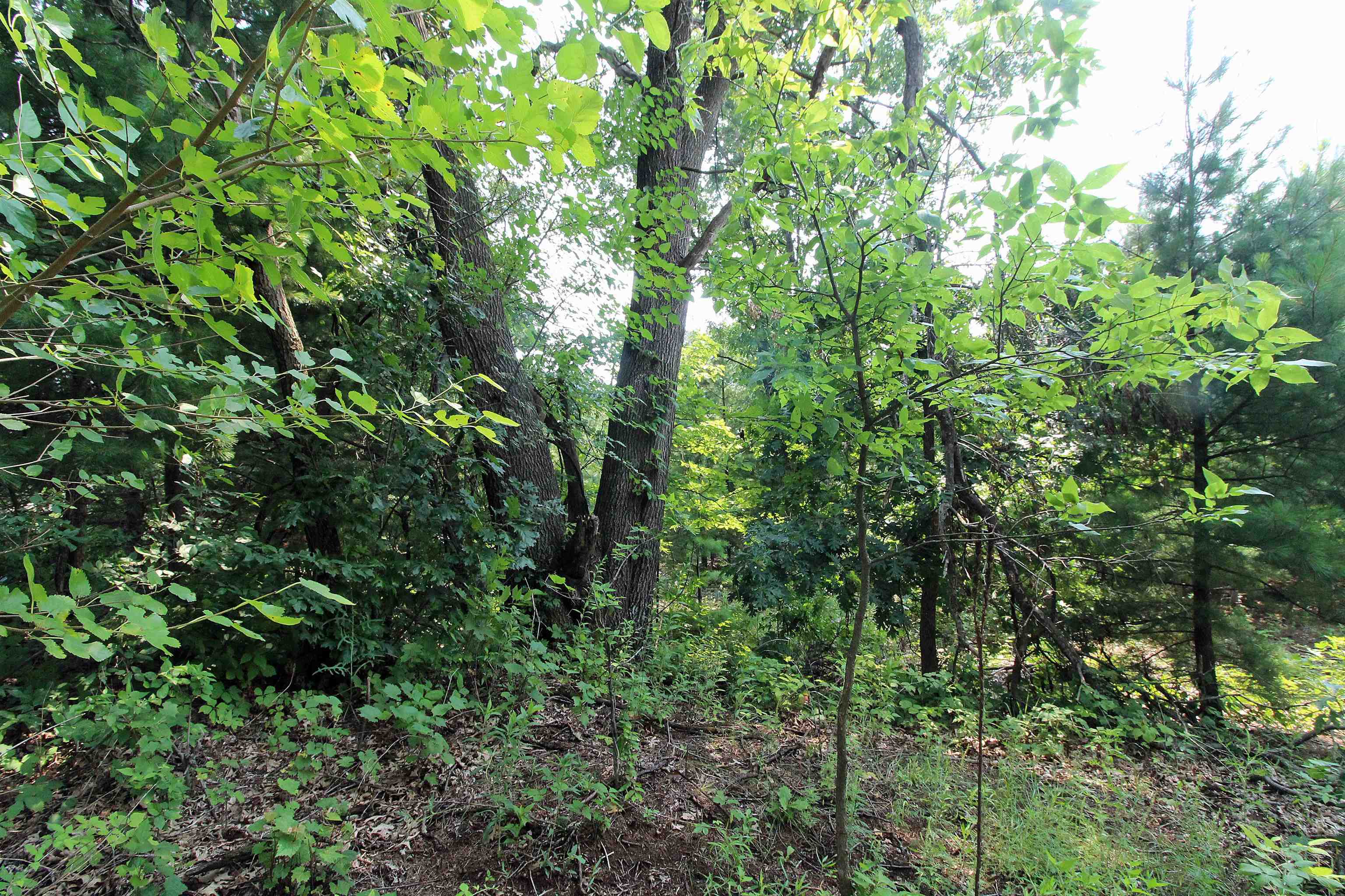 Lot19 Lot19 Timber Spring Green Spring Green, WI 53588 - Photo 8 of 22