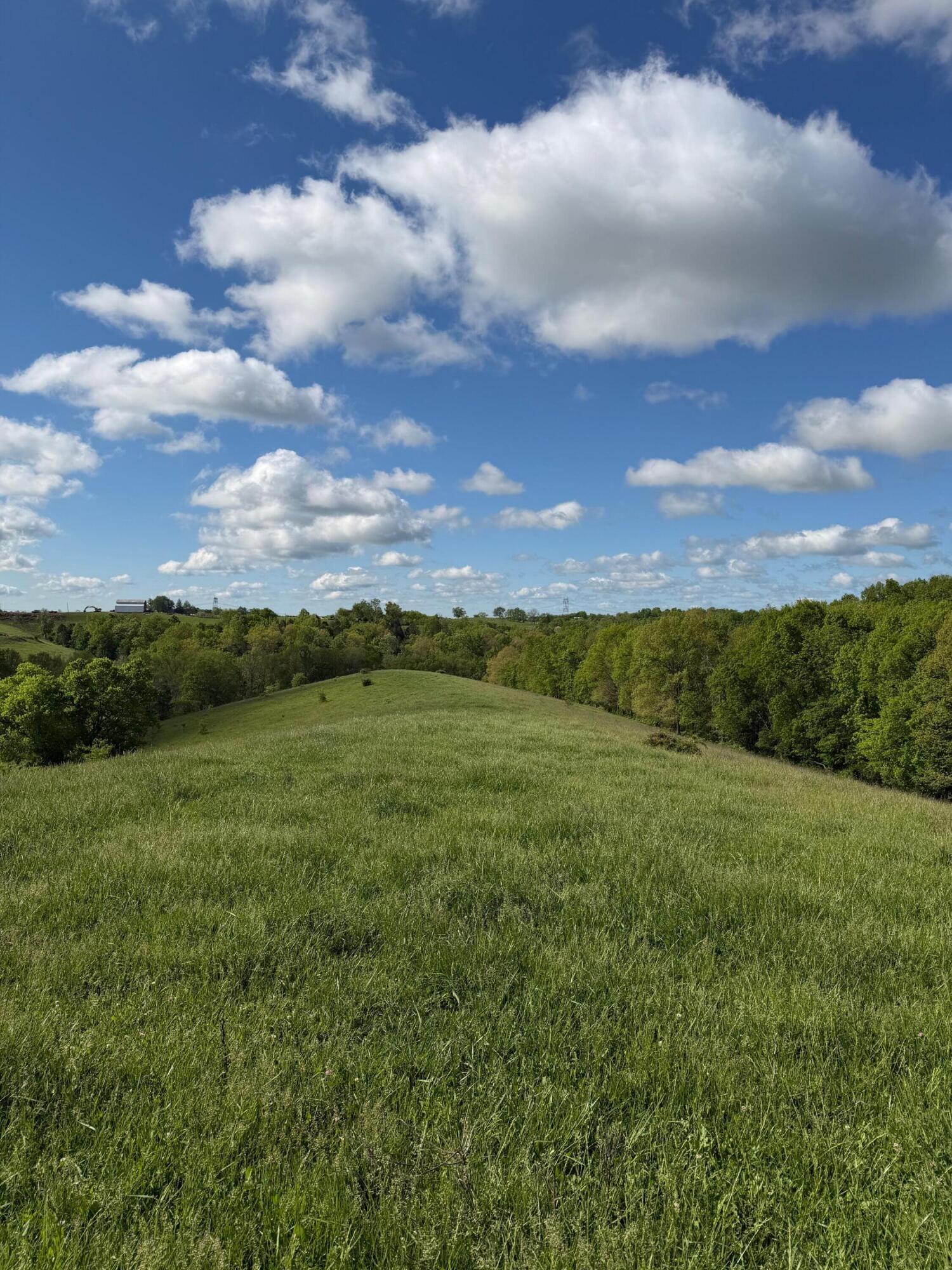 14.17-ac Chipman Ridge Road Williamstown, KY 41097 - Photo 2 of 18