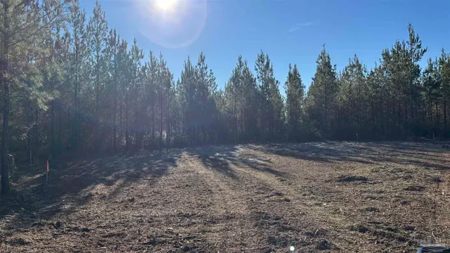 $125,000 | Lot 55 Straw Bridge Road, Jay, FL 32565