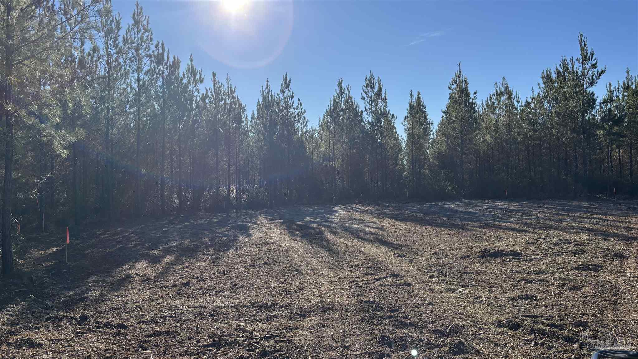 Lot 55 Straw Bridge Road Jay, FL 32565 - Photo 2 of 10