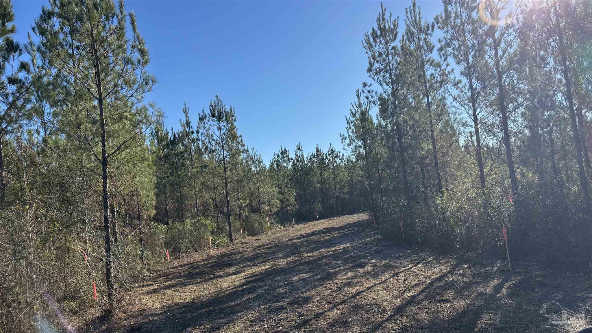 Lot 55 Straw Bridge Road Jay, FL 32565 - Photo 5 of 10