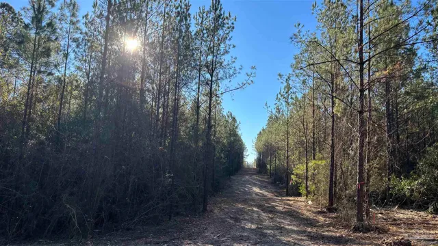 $125,000 | Lot 55 Straw Bridge Road, Jay, FL 32565