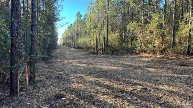 $125,000 | Lot 55 Straw Bridge Road, Jay, FL 32565