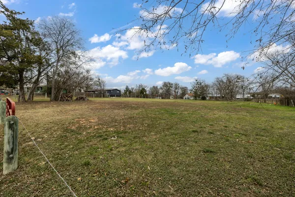 a view of a yard with a tree