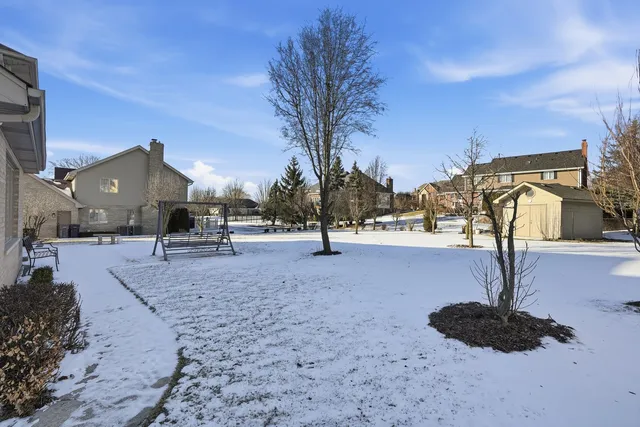 a street view with large trees