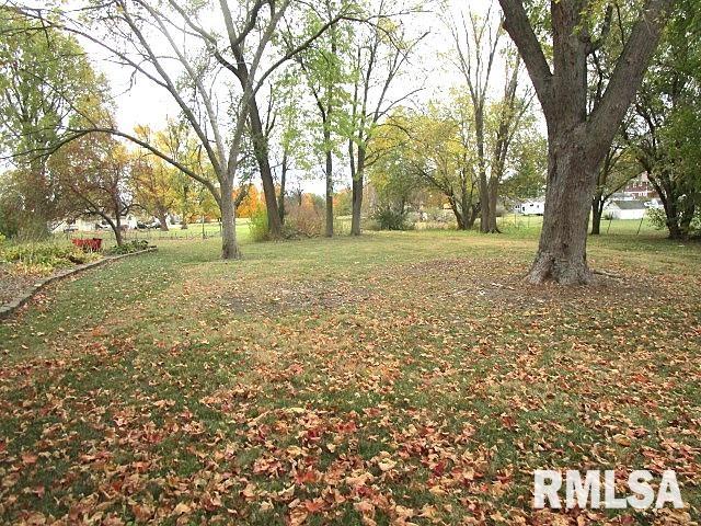 419 East Walnut Street Washburn, IL 61570 - Photo 5 of 17