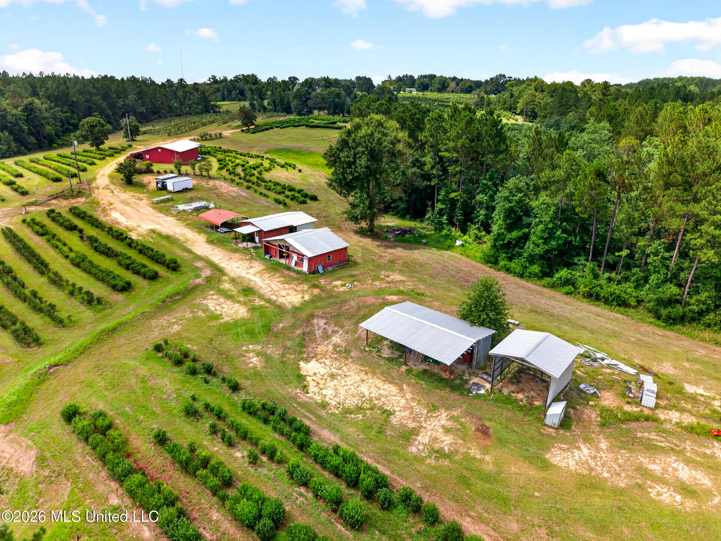 574 Slade Woodward Road Poplarville, MS 39470 - Photo 98 of 106 99_farmbuildings