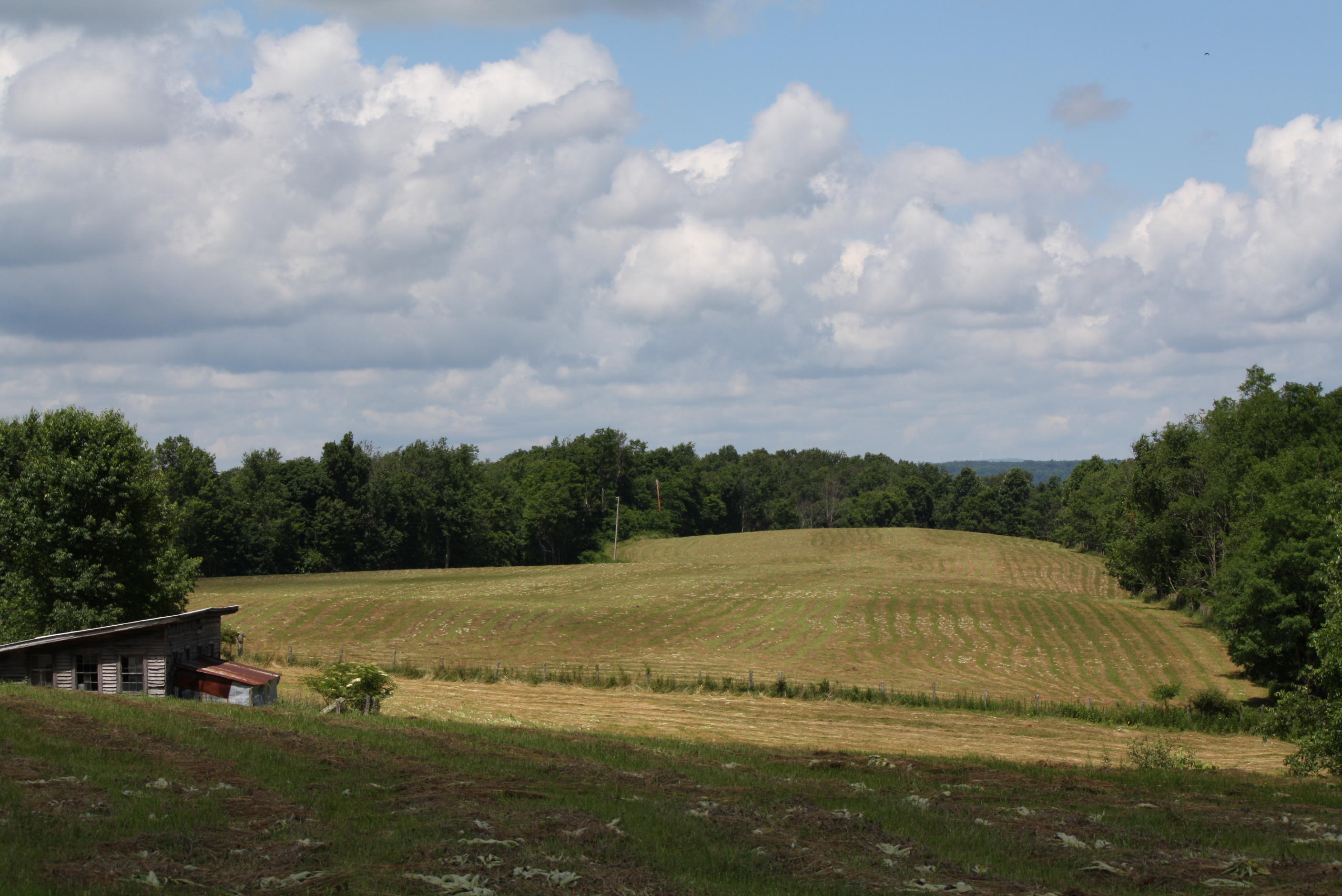 3296 Simms Mountain Road Rainelle, WV 25962 - Photo 105 of 119 Gallery Image 105