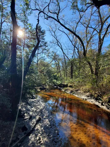 $525,000 | 7085 Inman Road, Meggett, SC 29449