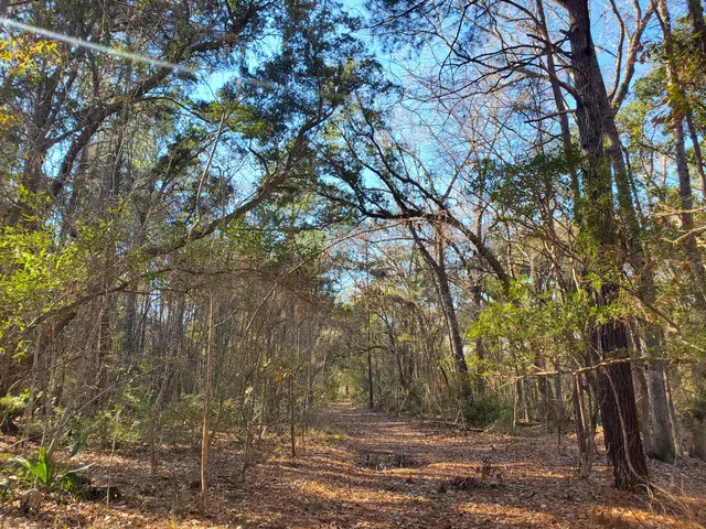 $525,000 | 7085 Inman Road, Meggett, SC 29449