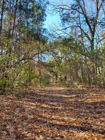 $525,000 | 7085 Inman Road, Meggett, SC 29449