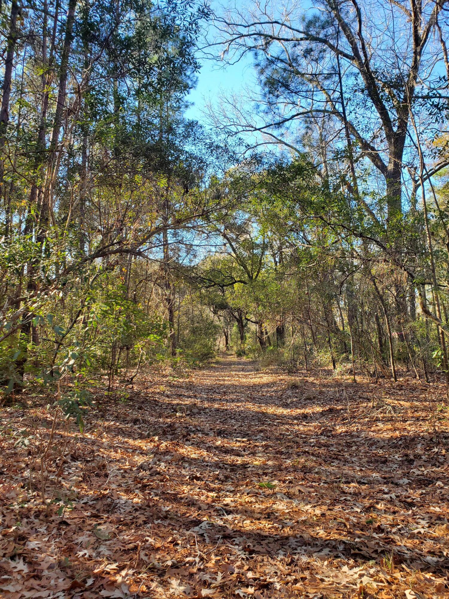 7085 Inman Road Meggett, SC 29449 - Photo 6 of 10 20240117_101436