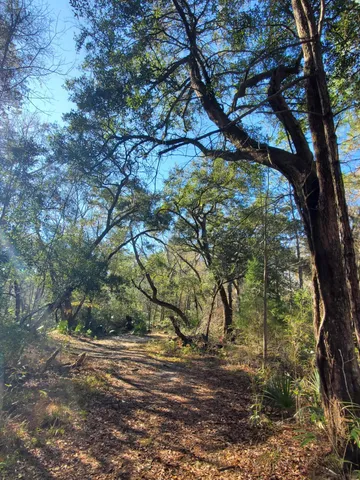 $525,000 | 7085 Inman Road, Meggett, SC 29449