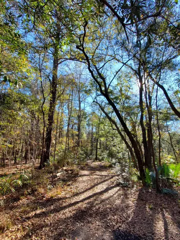 $525,000 | 7085 Inman Road, Meggett, SC 29449