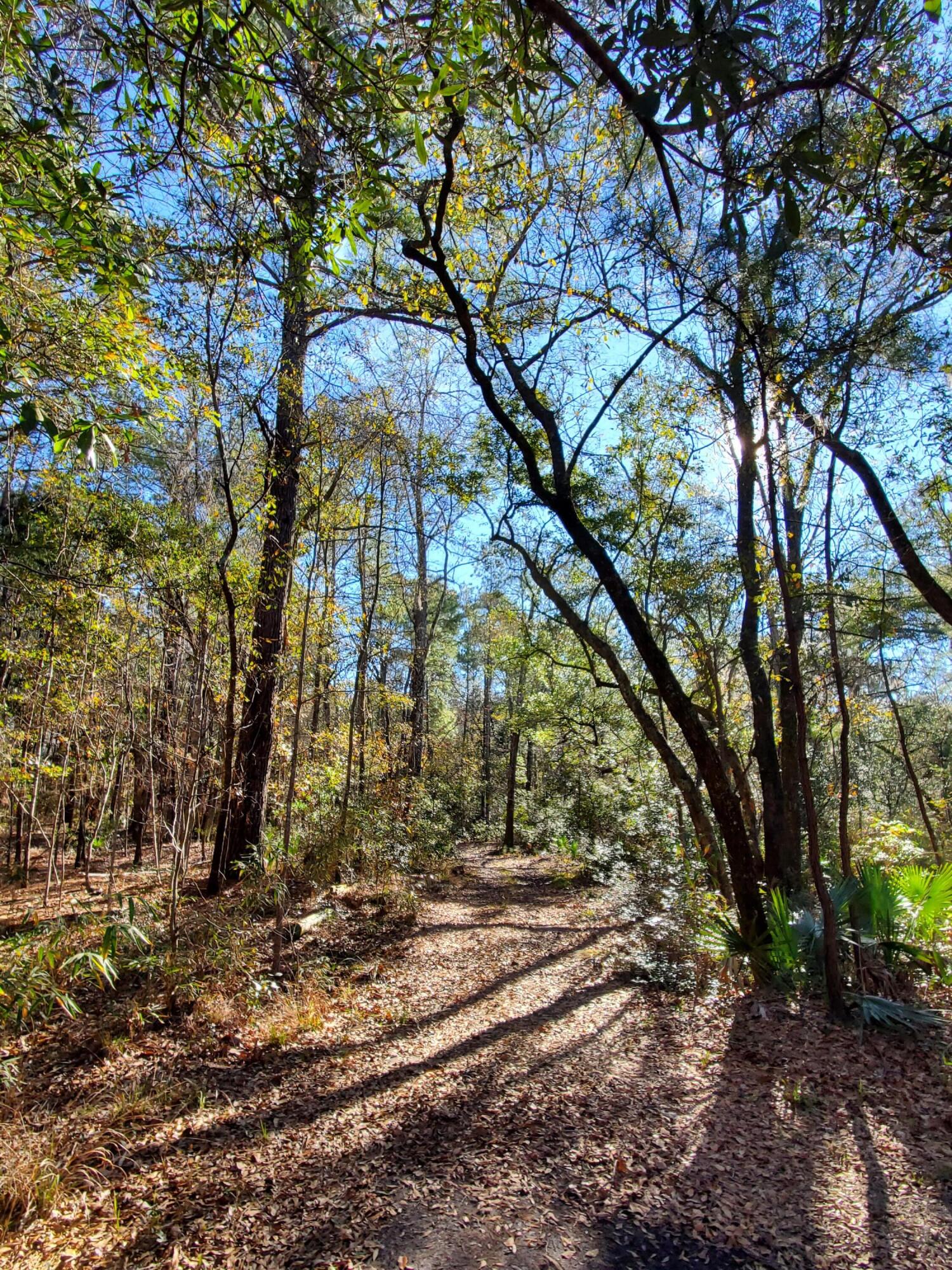 7085 Inman Road Meggett, SC 29449 - Photo 8 of 10 20240117_101627