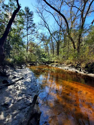 $525,000 | 7085 Inman Road, Meggett, SC 29449