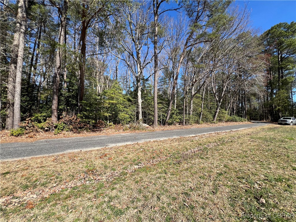 Tbd Cove Colony Road Lancaster, VA 22503 - Photo 4 of 4