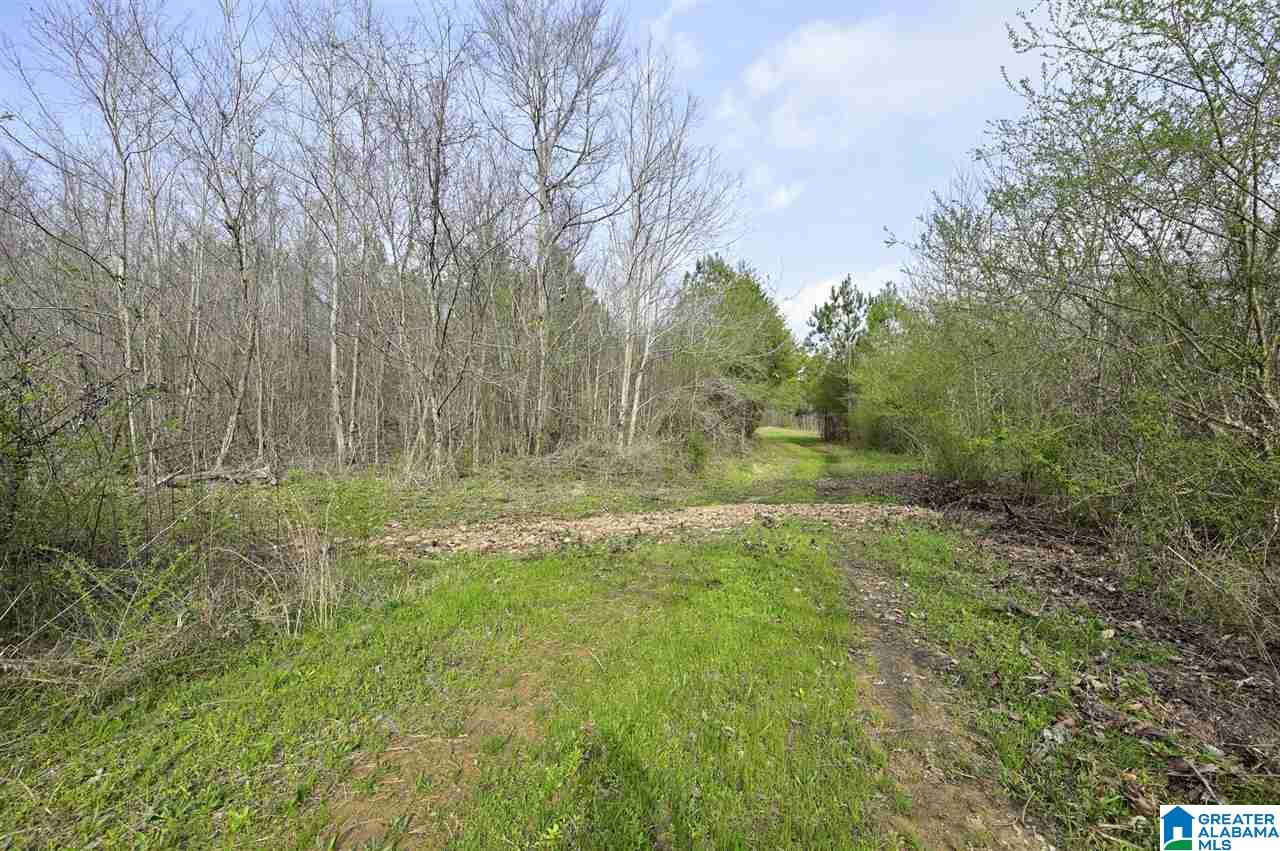 0 Joy Road Blountsville, AL 35031 - Photo 6 of 22