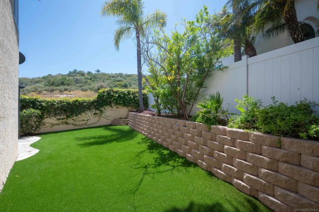 a view of a backyard with plants and a palm tree