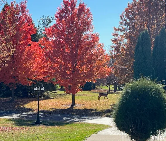 $290,000 | 3937 Musholt Strasse Lane, Quincy, IL 62305