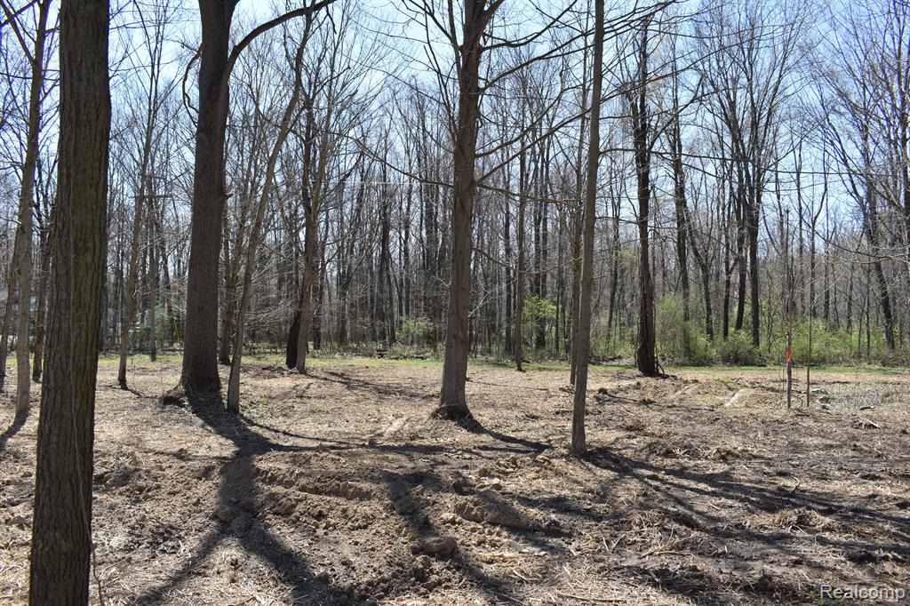 P-8 West Allen Road Howell, MI 48855 - Photo 1 of 3