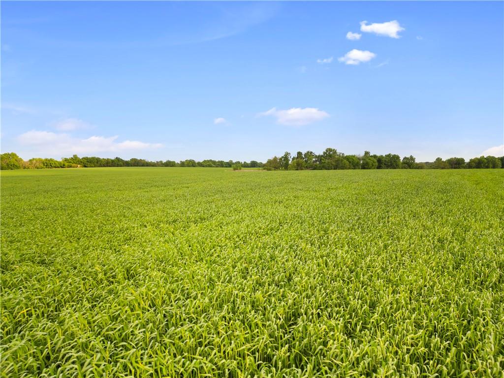 49 Northwest 100th Road Sheldon, MO 64784 - Photo 5 of 34