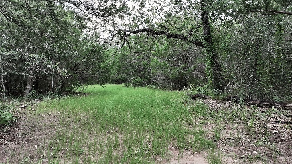 2625 Burke Road Flatonia, TX 78941 - Photo 12 of 19