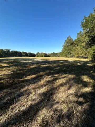 a view of an ocean from a yard